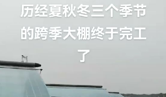 歷經(jīng)夏秋冬三個(gè)季節(jié)的跨季大棚終于完工了